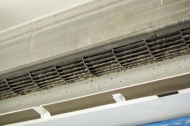 Best Air Quality Test  in Arlington, WA